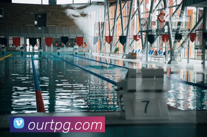 互动解说服务